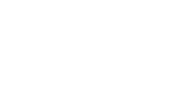 Consult Car